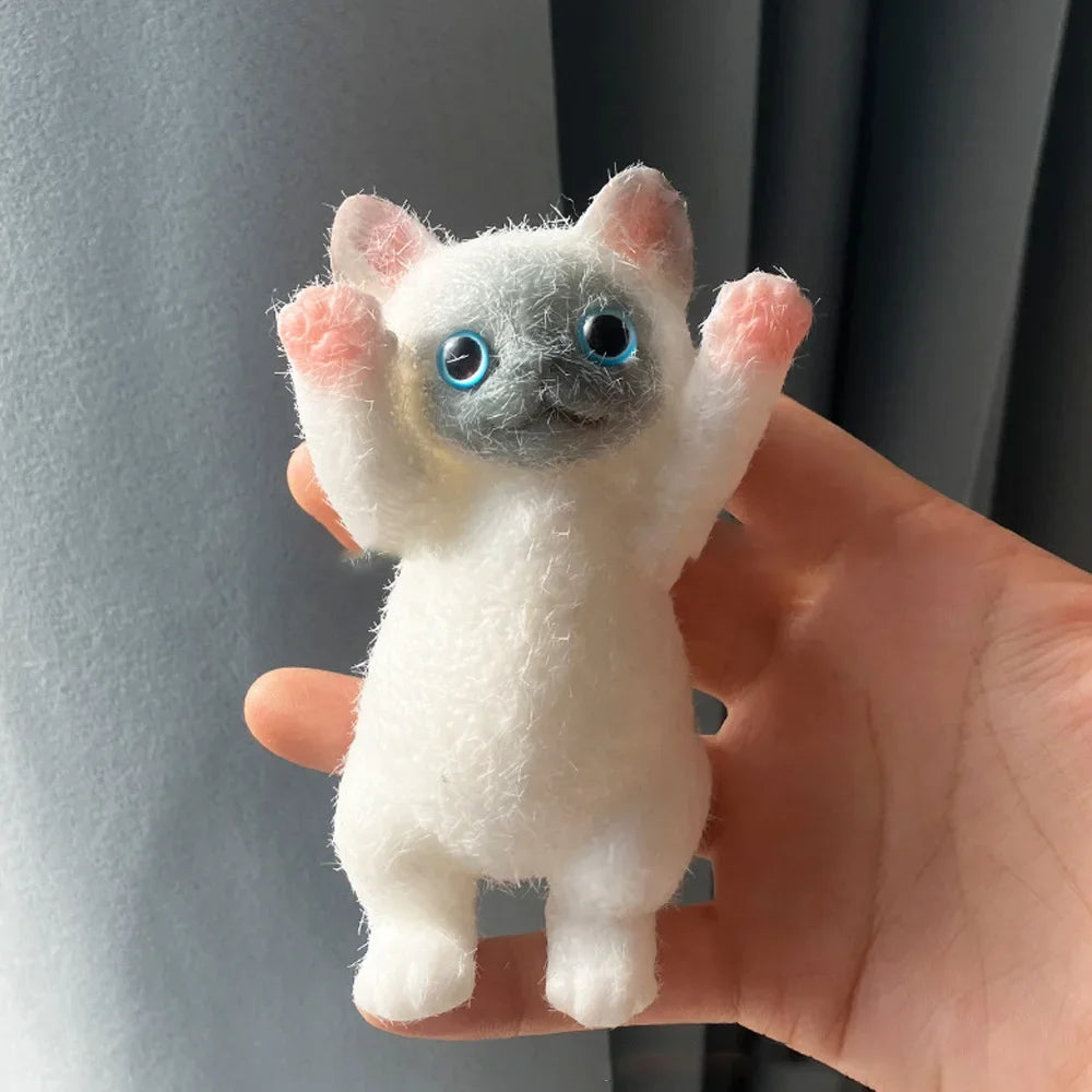 💕 Mochi Kitty