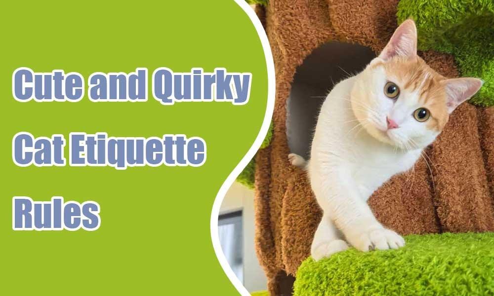 5 Adorable Cat Etiquette Rituals Every CatParent Should Know